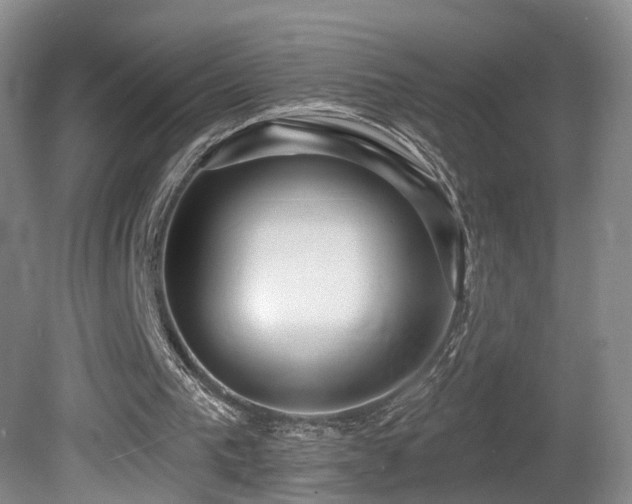 X0000081580193200701151252