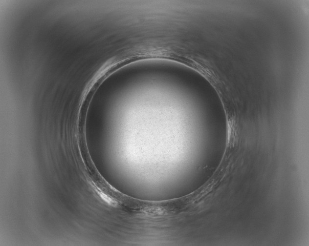 X0000081580195200701151252