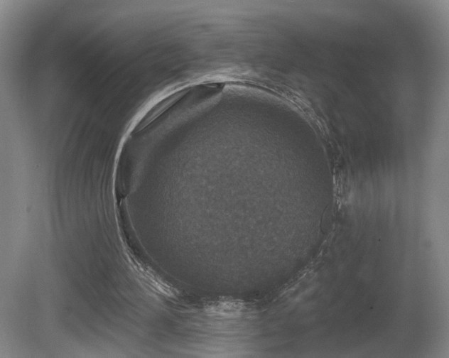 X0000081580196200701151252