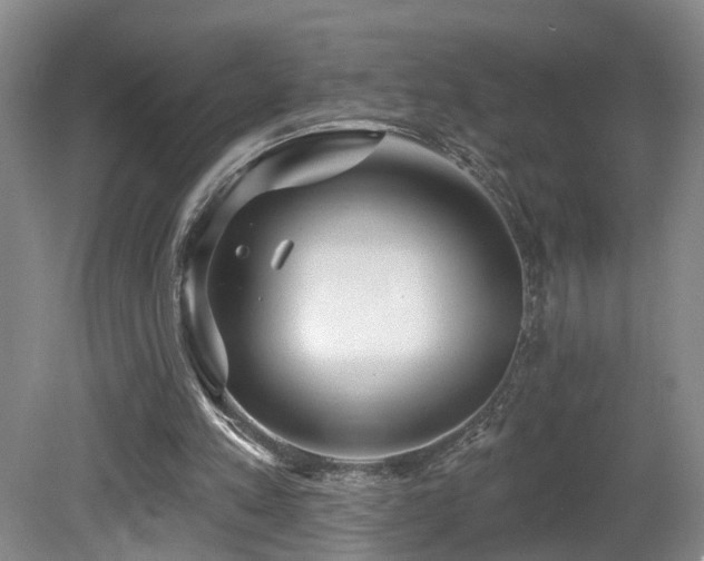 X0000081580197200701151252