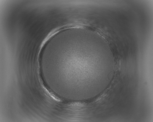 X0000081580198200701151252