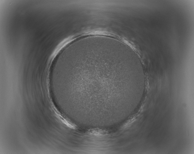 X0000081580199200701151252