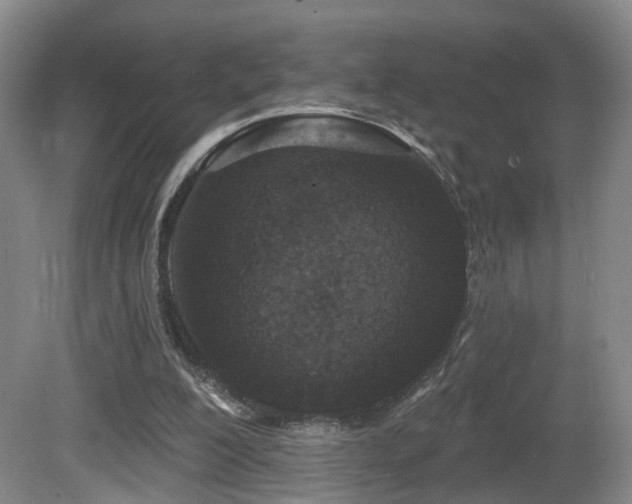 X0000081580200200701151252