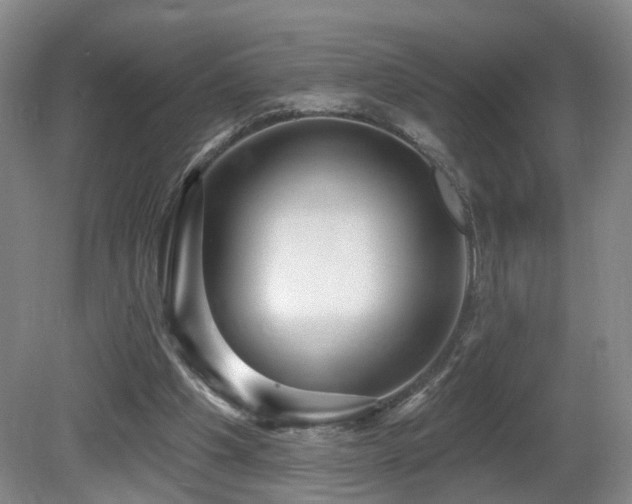 X0000081580201200701151252