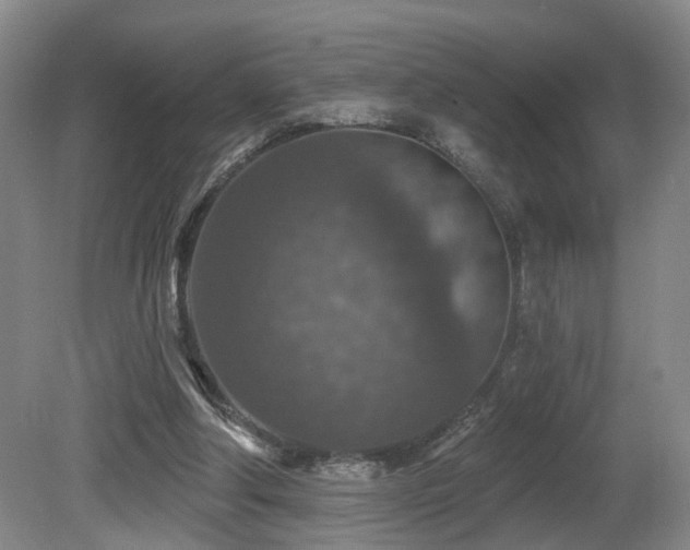 X0000081580202200701151252