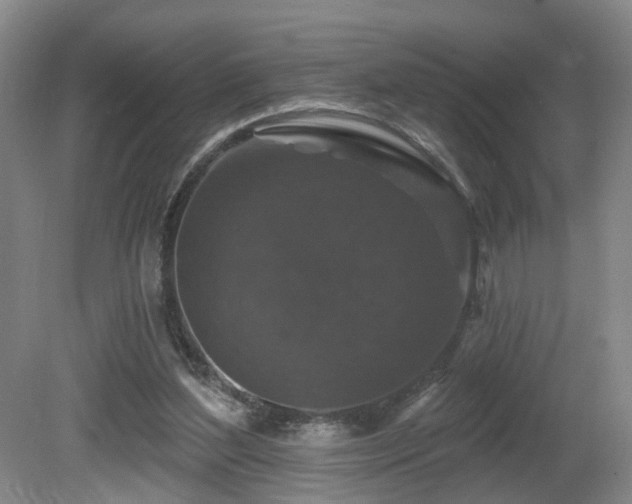 X0000081580204200701151252