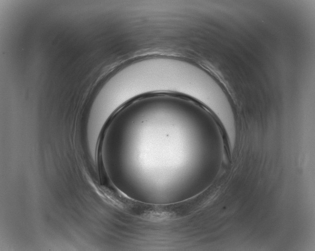 X0000081580205200701151252