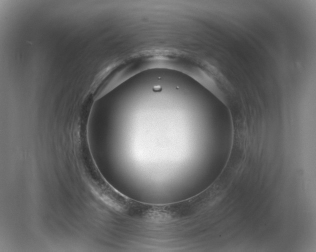 X0000081580207200701151252