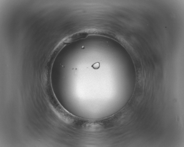 X0000081580208200701151252