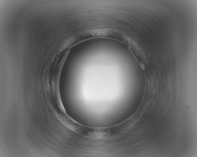 X0000081580209200701151252