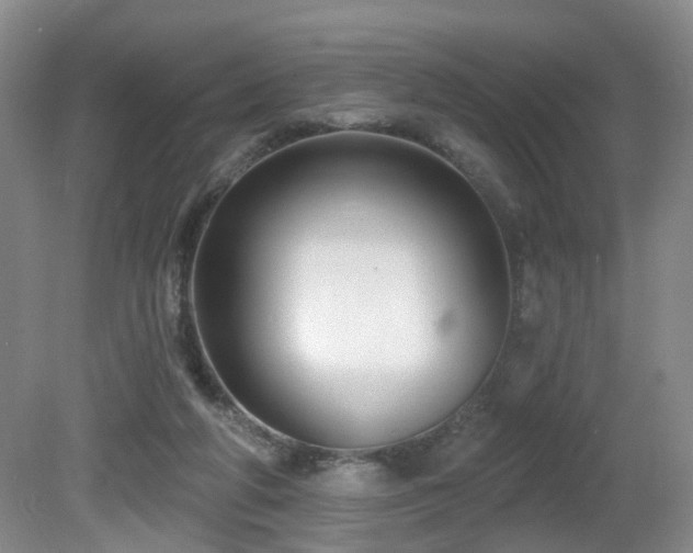 X0000081580210200701151251