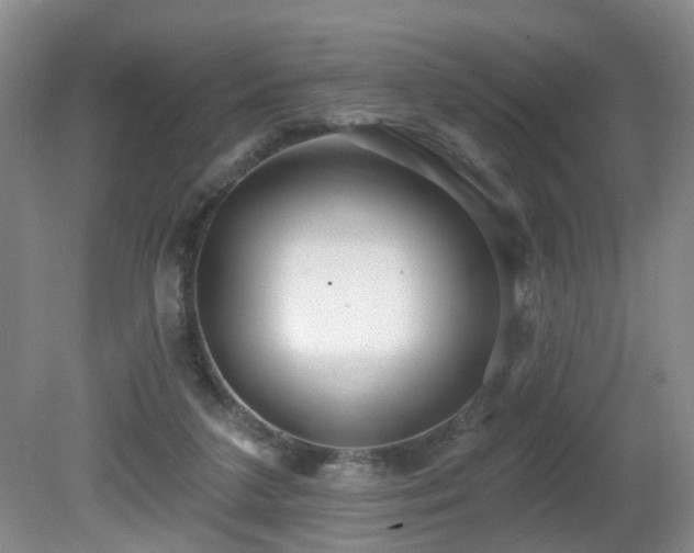 X0000081580211200701151251