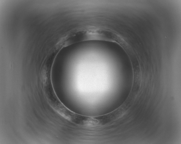 X0000081580215200701151251