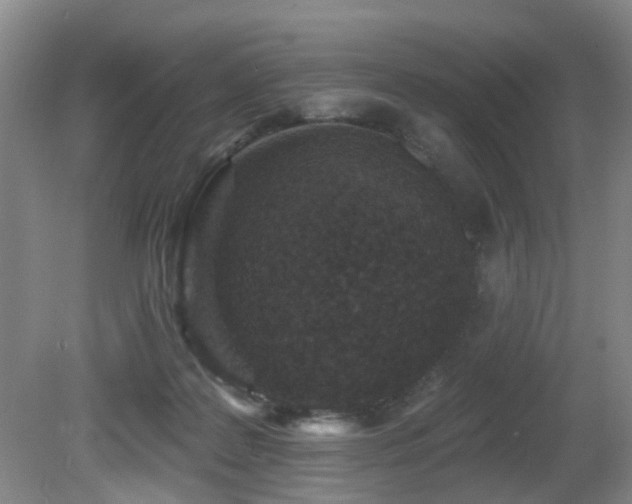 X0000081580219200701151251