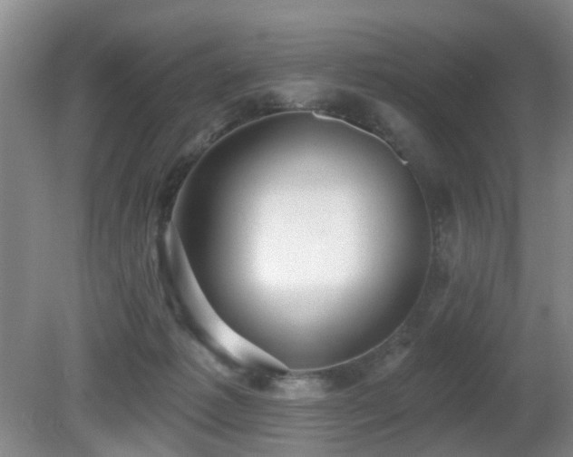 X0000081580221200701151251