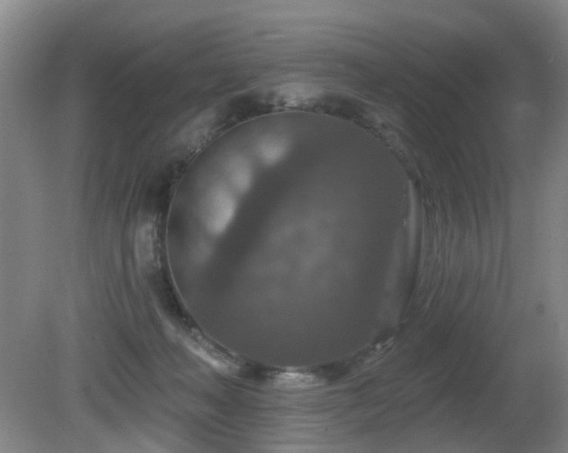 X0000081580222200701151251