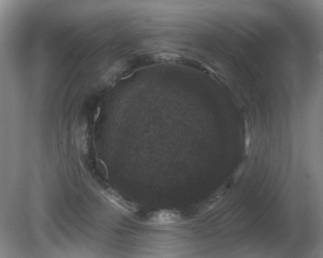 X0000081580223200701151251