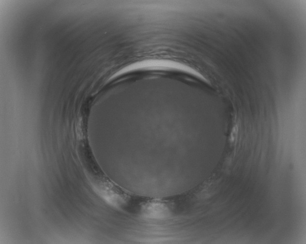 X0000081580224200701151251