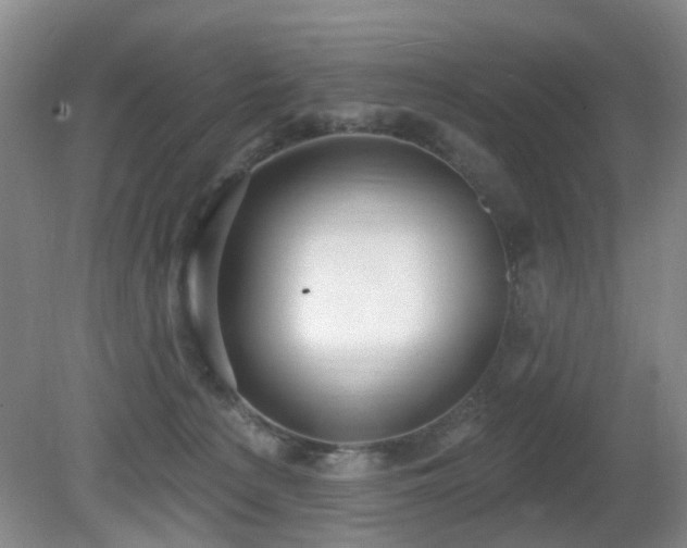 X0000081580225200701151251