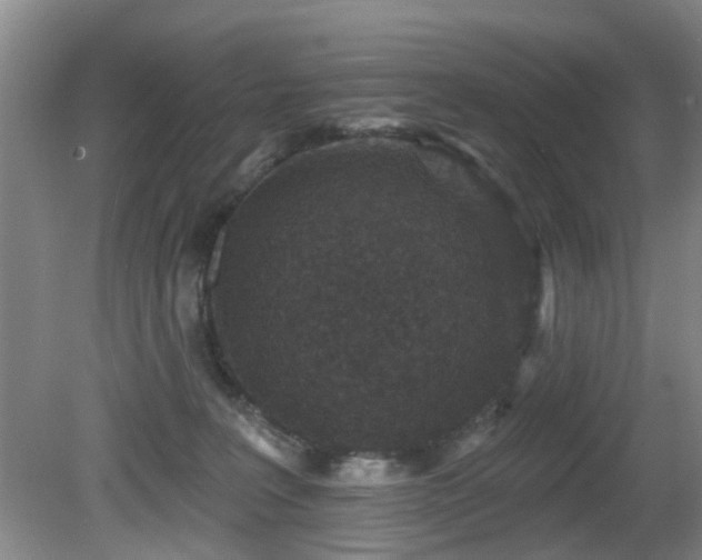 X0000081580227200701151251