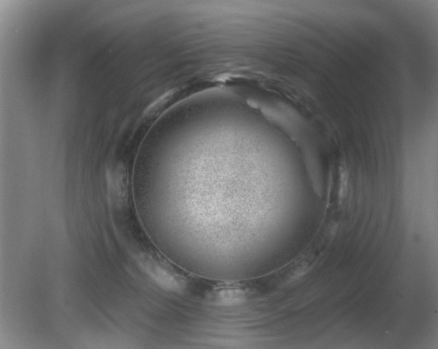 X0000081580228200701151251