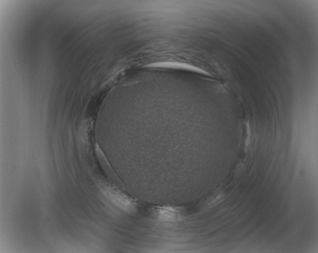 X0000081580229200701151251