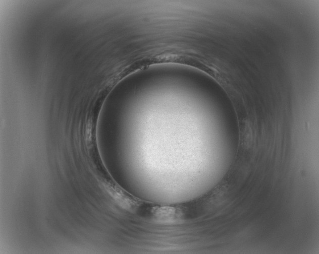 X0000081580230200701151251