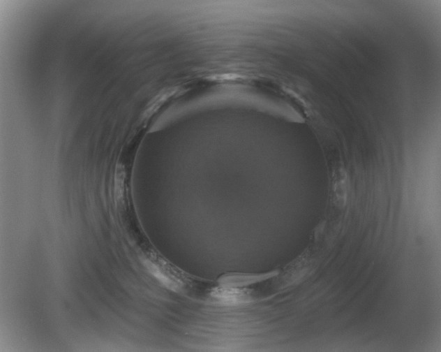 X0000081580231200701151251