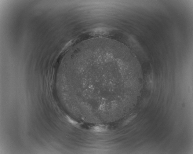 X0000081580232200701151251