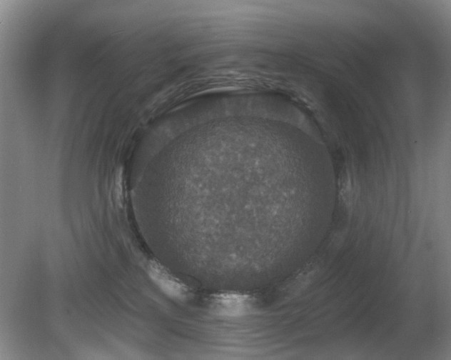 X0000081580233200701151251