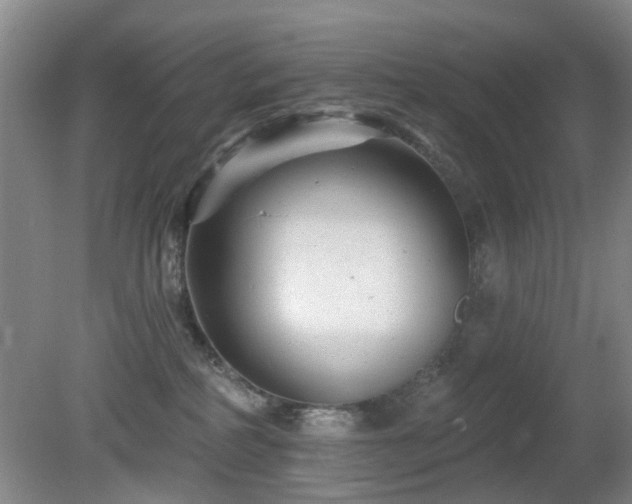 X0000081580234200701151251