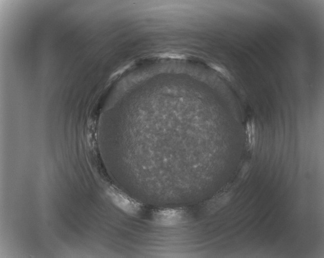 X0000081580237200701151251