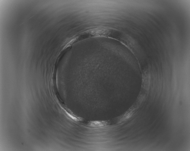 X0000081580239200701151251