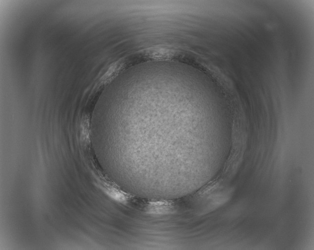 X0000081580240200701151251