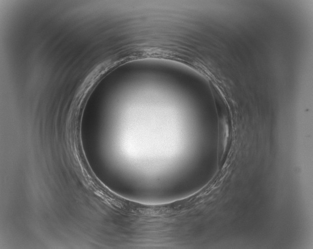 X0000081580241200701151250