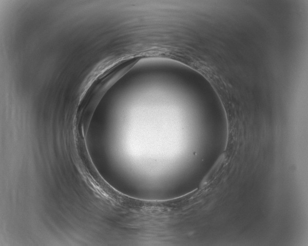 X0000081580242200701151250