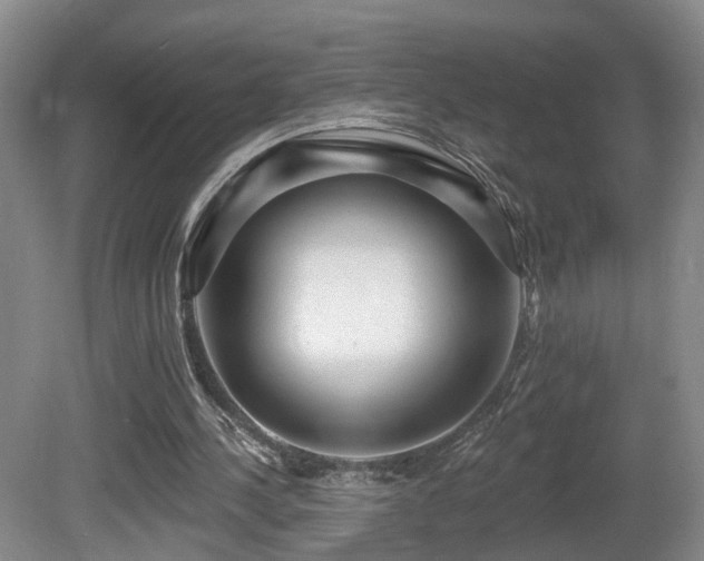 X0000081580244200701151250