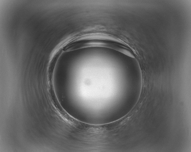 X0000081580245200701151250