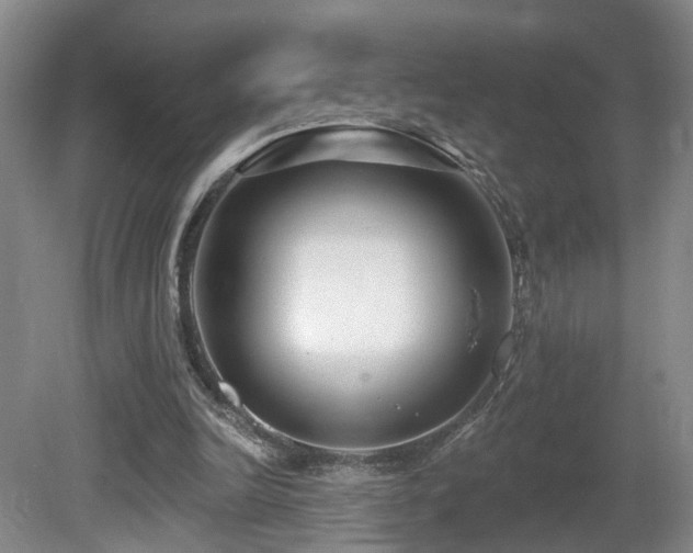 X0000081580246200701151250