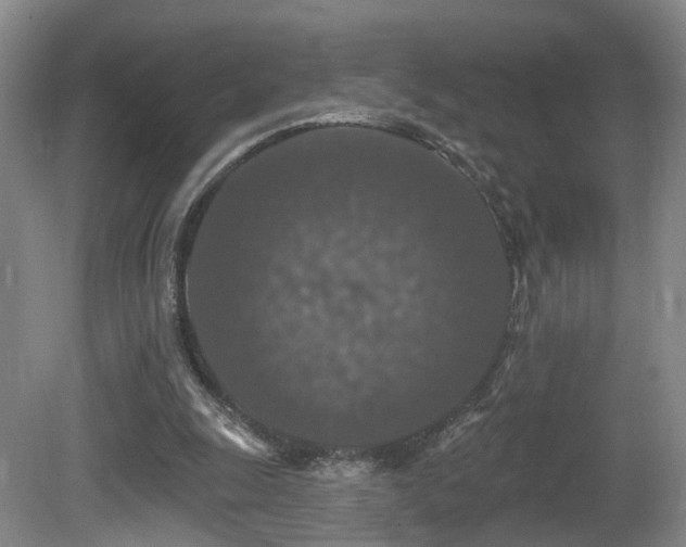 X0000081580247200701151250