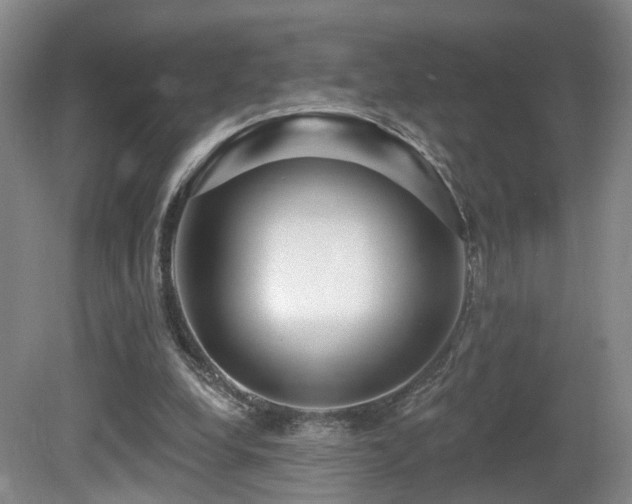 X0000081580248200701151250