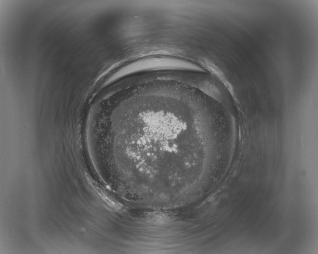 X0000081580249200701151250