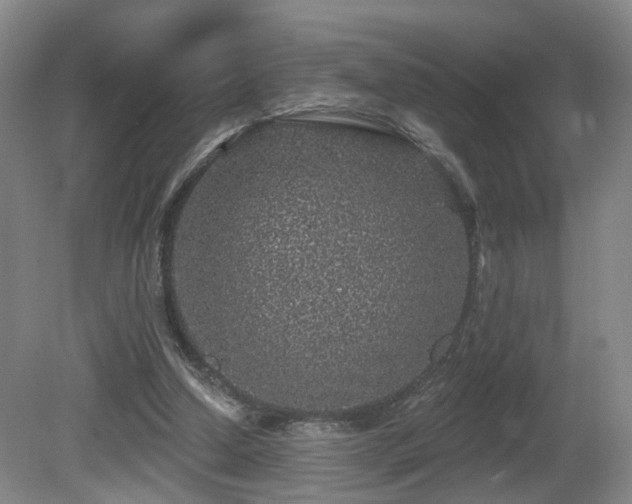 X0000081580250200701151250