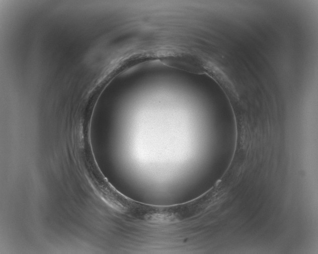 X0000081580251200701151250