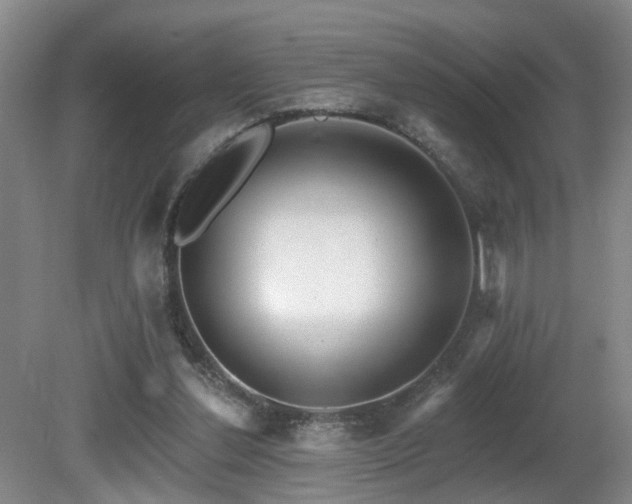 X0000081580252200701151250