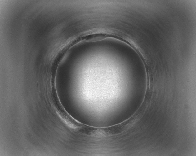 X0000081580253200701151250