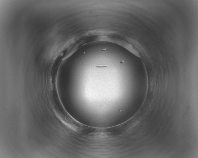 X0000081580254200701151250