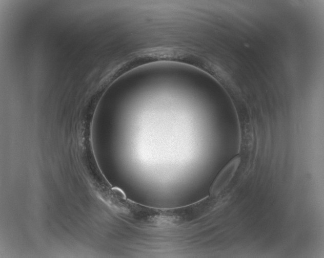 X0000081580255200701151250