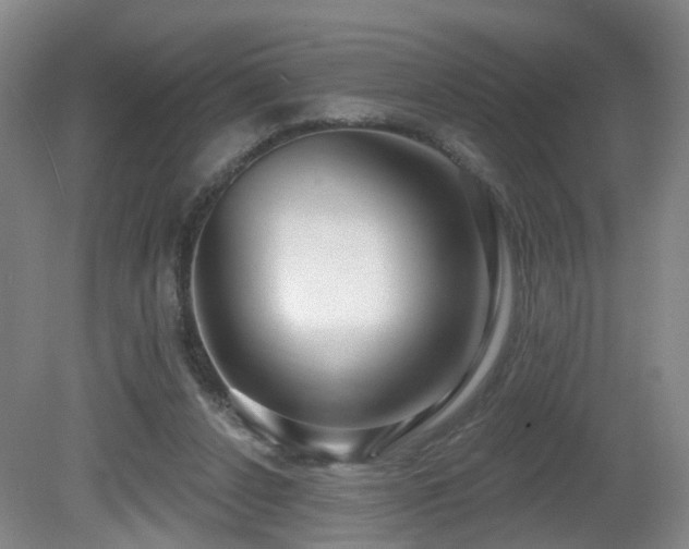 X0000081580256200701151250