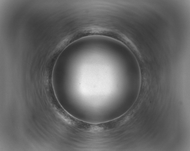 X0000081580257200701151250